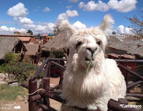 Ollantaytambo, Peru