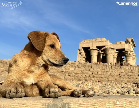 Templo de Kom Ombo, Egito