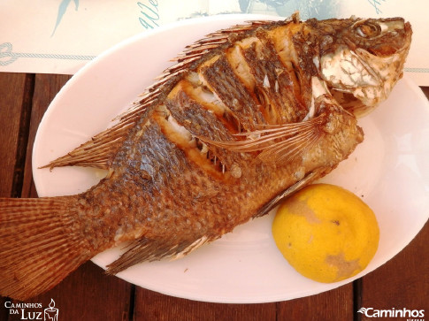 Peixe de Pedro, Mar da Galiléia, Israel