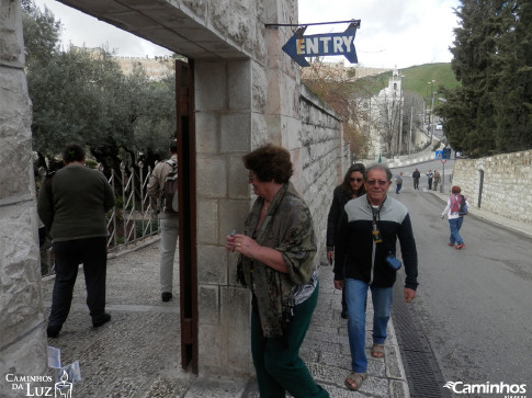 Horto das Oliveiras (Getsêmani), Jerusalém, Israel