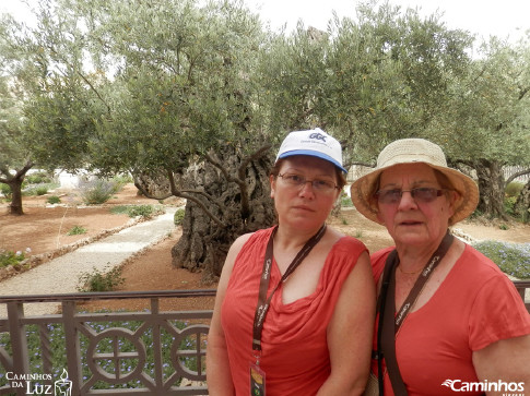 Horto das Oliveiras (Getsêmani), Jerusalém, Israel