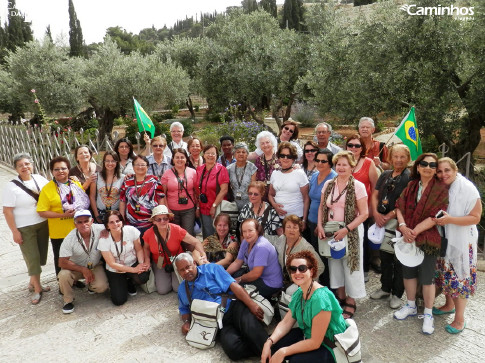 Família Caminhos no Horto das Oliveiras (Getsêmani), Jerusalém, Israel