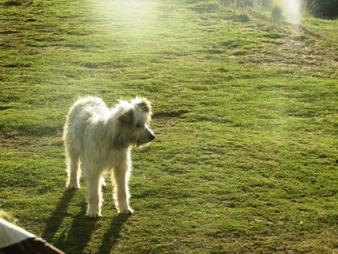 Chinchero