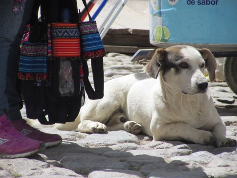 Ollantaytambo